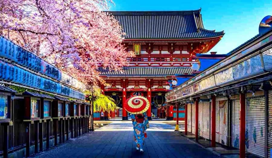 Tokyo Full-Day Private Customizable Tour with English guide - Practical Considerations