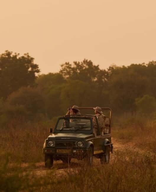 Ranthambhore: Ranthambhore Tiger Reserve Booking - Introduction: What You Can Expect from This Tour