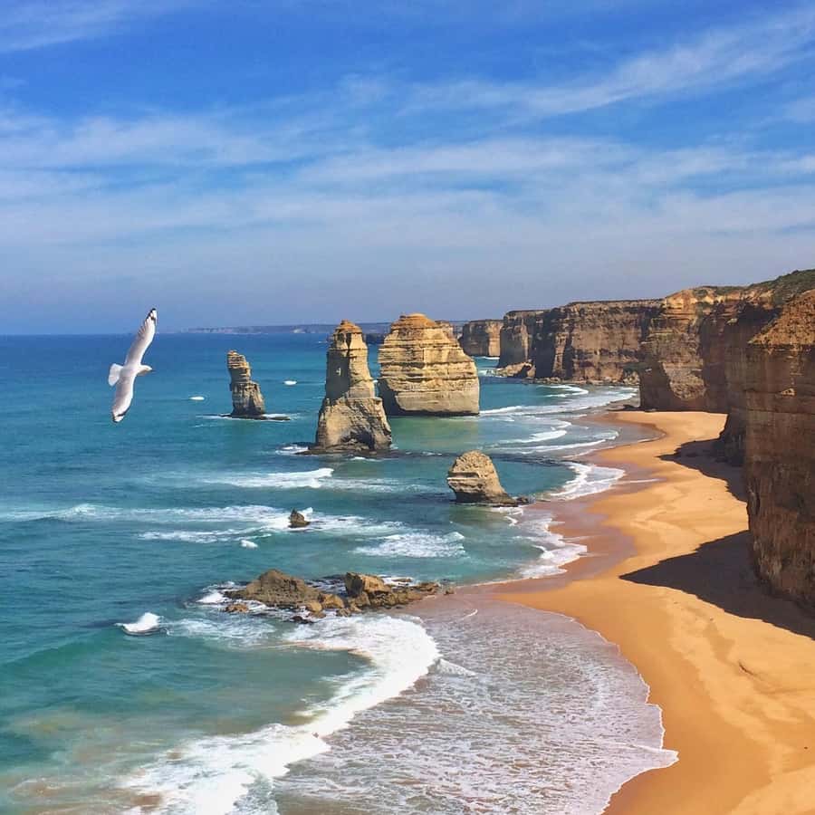 Full Day Great Ocean Road Private Guided Tour - Good To Know