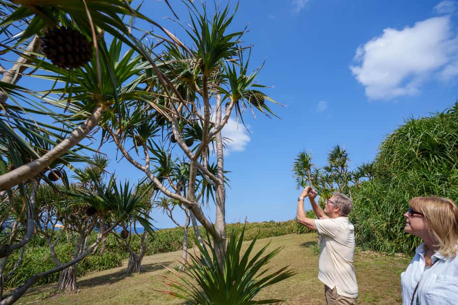 Okinawa Ishigaki Island Private Tour - Good To Know