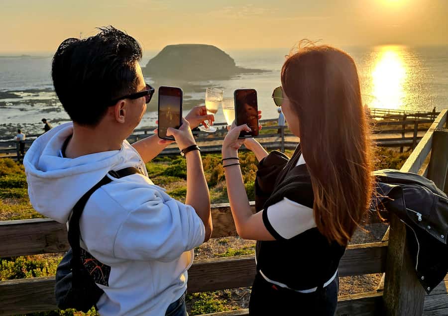 Melbourne: Phillip Island Tour w/ Hop-on Bus or Seal Cruise - Who Would Love This Experience?