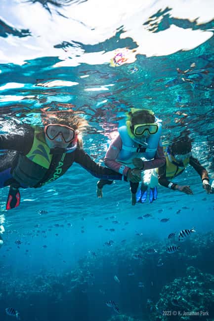 Fiji: Kuata Island Marine Conservation Experience Full Day - Lunch and Relaxation