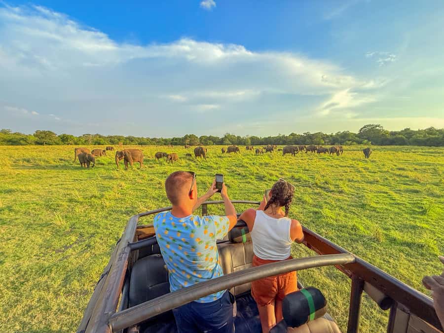 Sigiriya: Lion Rock Hike & Minneriya Safari Day Tour - The Significance of the Climb