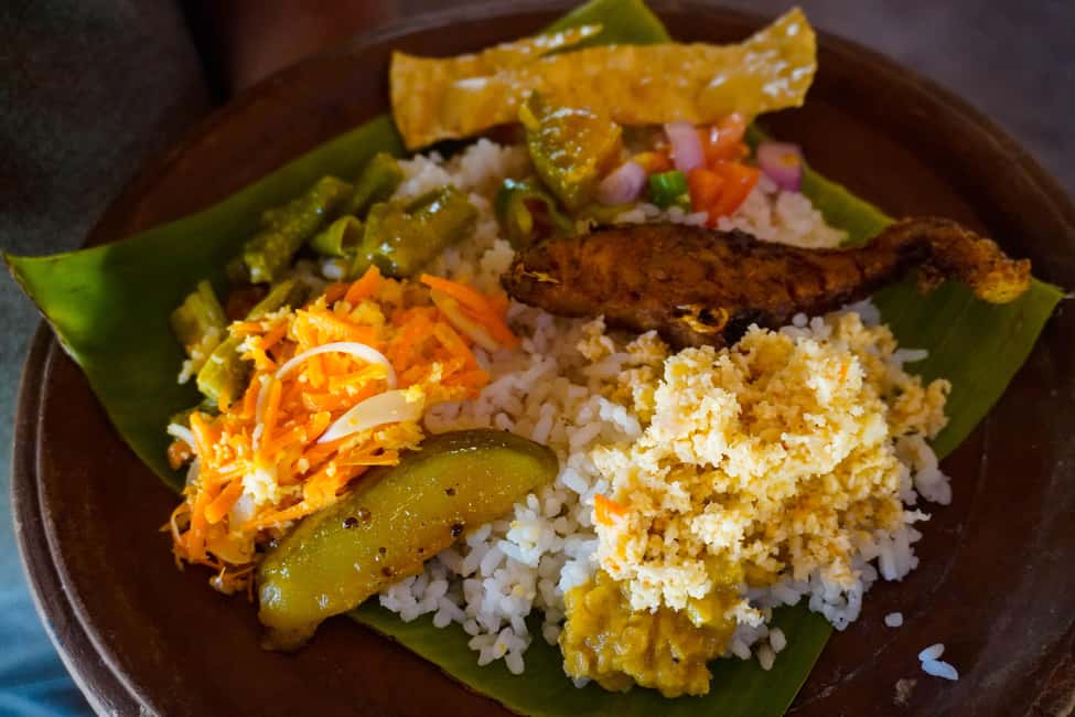 Sigiriya: Lion Rock Hike & Minneriya Safari Day Tour - Why This Safari Matters