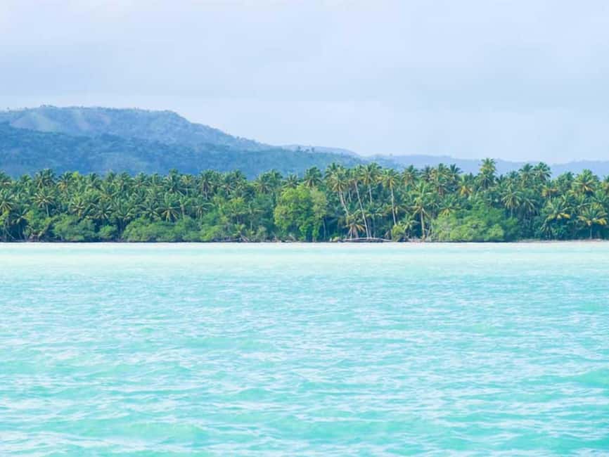 Samaná: Horseback Riding to El Limón Waterfall with Lunch - Start with the Highlights: What Makes This Tour Stand Out?