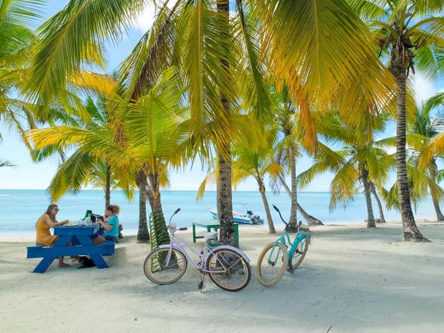 Punta Cana: Isla Saona Day Trip with Catamaran Cruise - Deep Dive: Why This Tour Works for Travelers