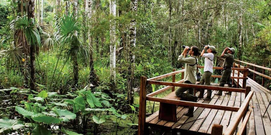Madre de Dios-Inkaterra Amazon Reserve Experience |3 Days| - Who Is This Tour Best For?