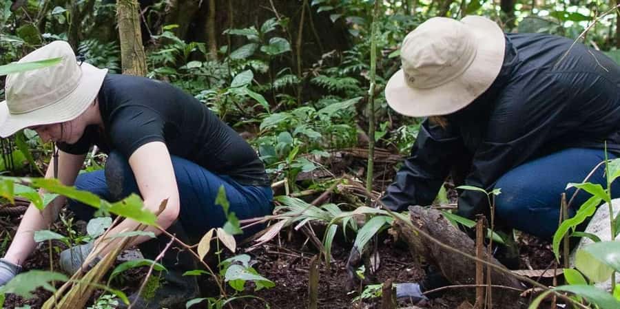 Madre de Dios-Inkaterra Amazon Reserve Experience |3 Days| - Final Thoughts