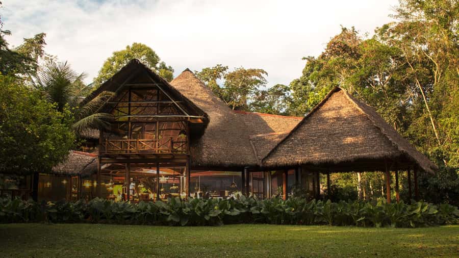 Madre de Dios-Inkaterra Amazon Reserve Experience |3 Days| - A Deep Dive into the Amazon Experience