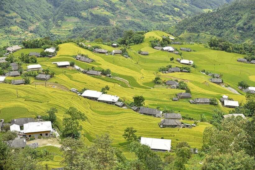 Ha Long Bay Cruise - Swimming, Meal, Kayaking In 1 Day - The Sum Up