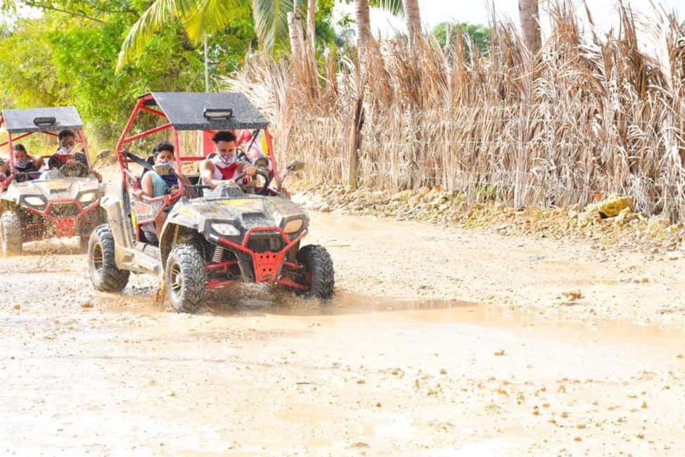 Punta Cana: Buggy Tour with Cave Pool and Chocolate Tasting - The Sum Up: Is This Tour Right for You?