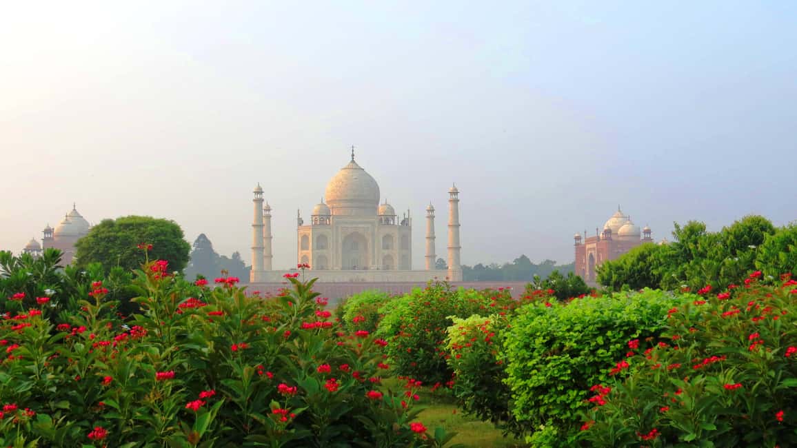 From Delhi: Taj Mahal Sunrise & Agra Day Tour with Transfers - What Makes This Tour Stand Out?