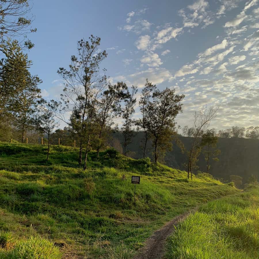 Yogyakarta: Merapi Volcano Trekking Adventure in Ecotourism - FAQ