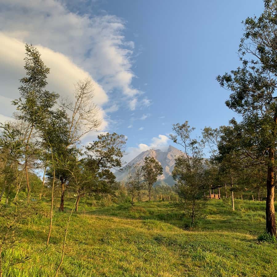 Yogyakarta: Merapi Volcano Trekking Adventure in Ecotourism - Authentic Experiences That Stand Out