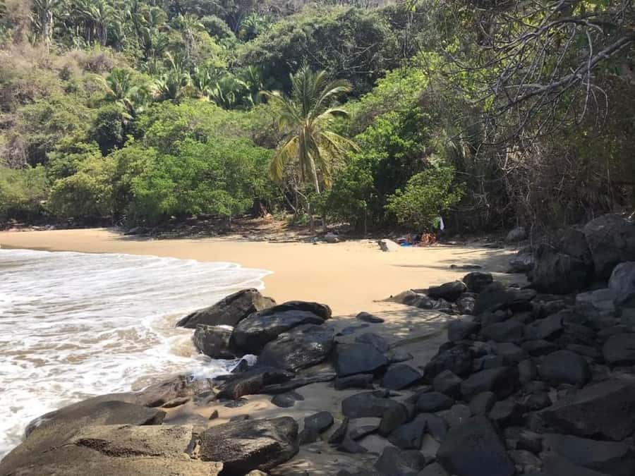 Snorkel at Playa del Toro, leaving from Sayulita: a day at the beach - Key Points