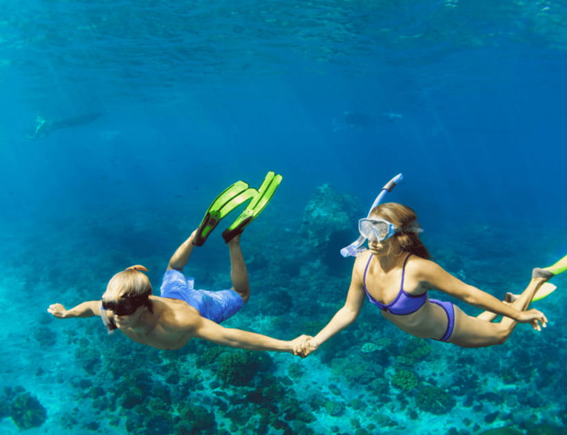 Bohol: Panglao Island Hopping & Dolphin Watching Tour - FAQ