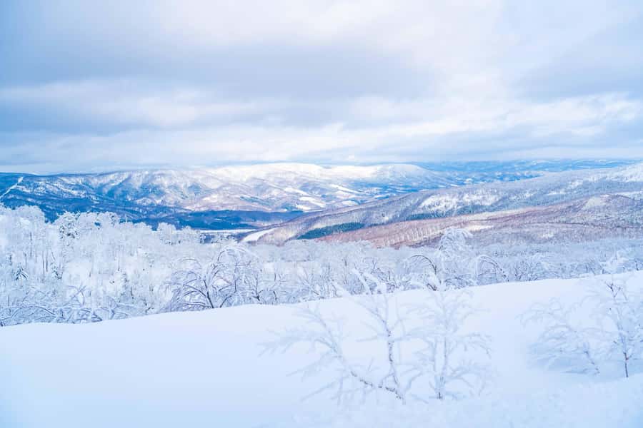 Orofure Pass Half-day Snowshoeing Tour - What to Expect from the Orofure Pass Snowshoeing Tour