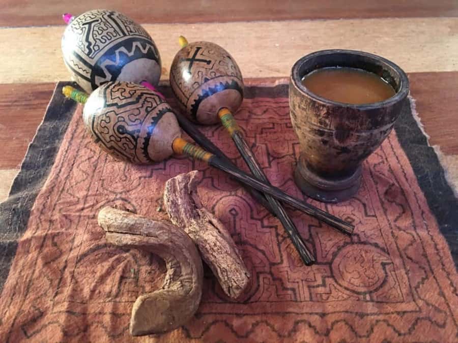 Ayahuasca Two Days - Who Would Love This Tour?