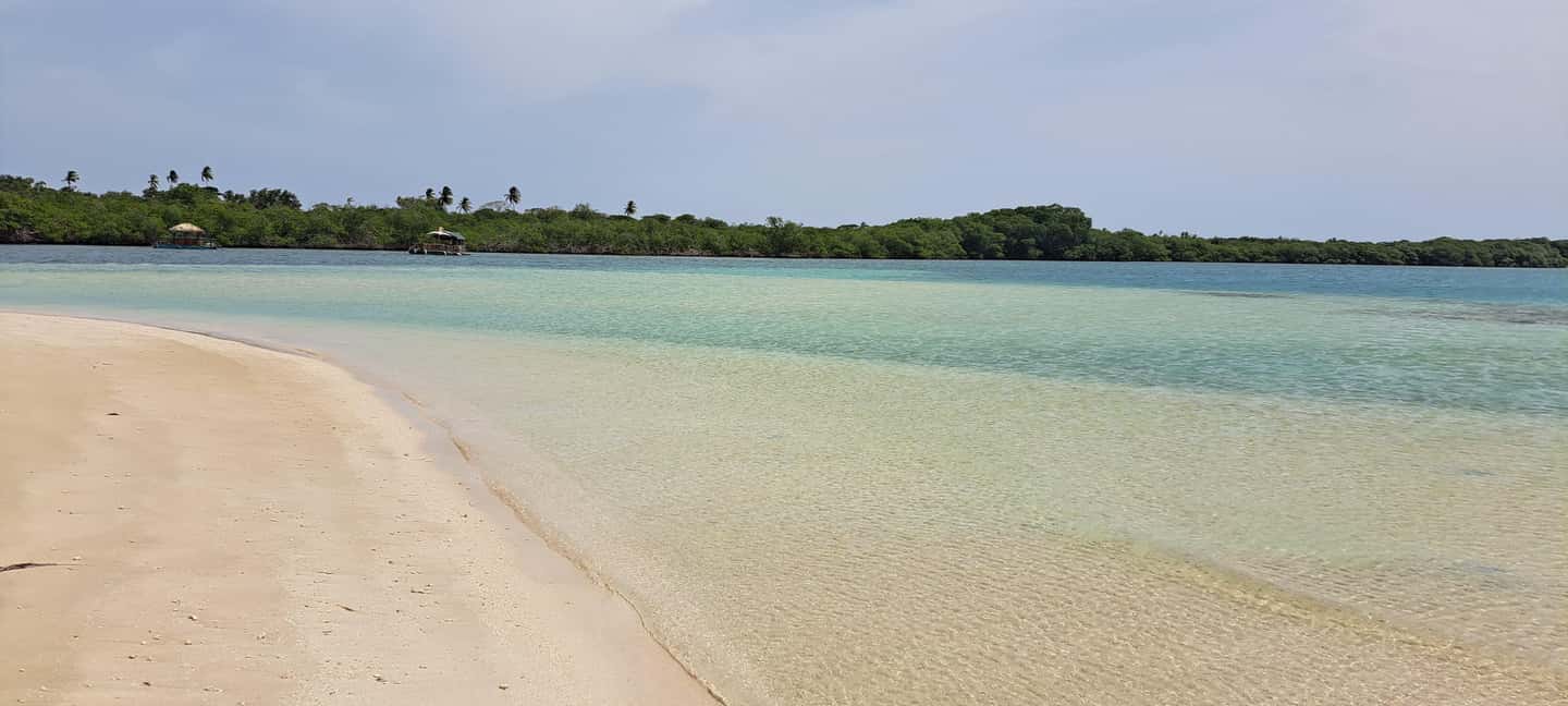 Buccoo Reef and Nylon Pool Adventure - Good To Know