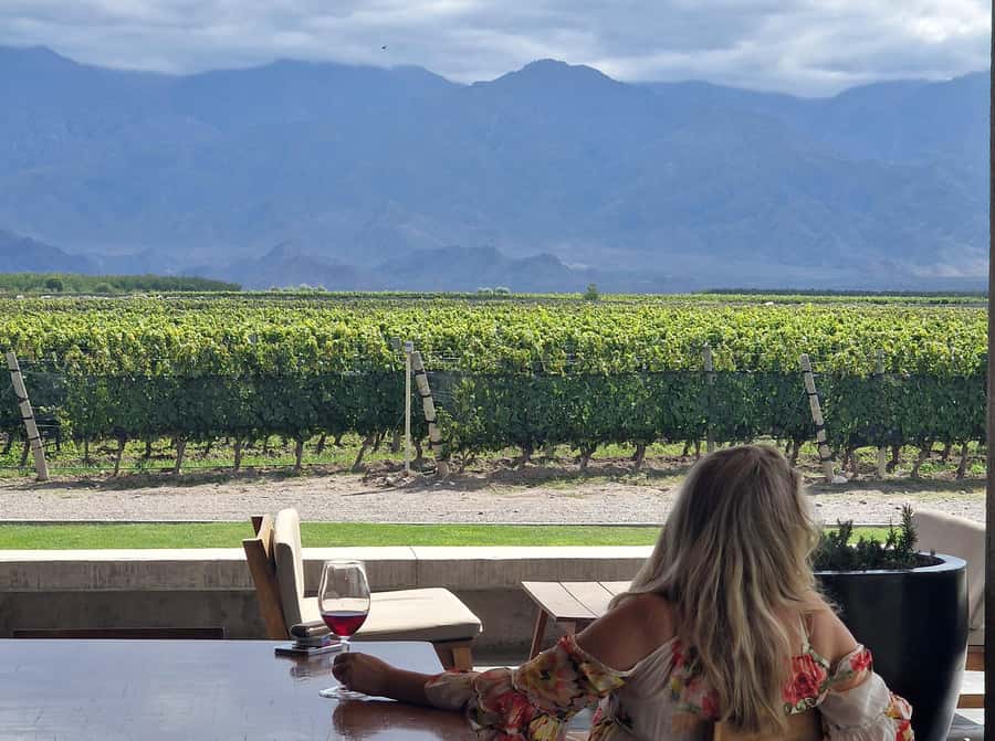 Uco Valley, Mendoza: One-Day Private Wine Tour Experience - Who Would Love This Tour?