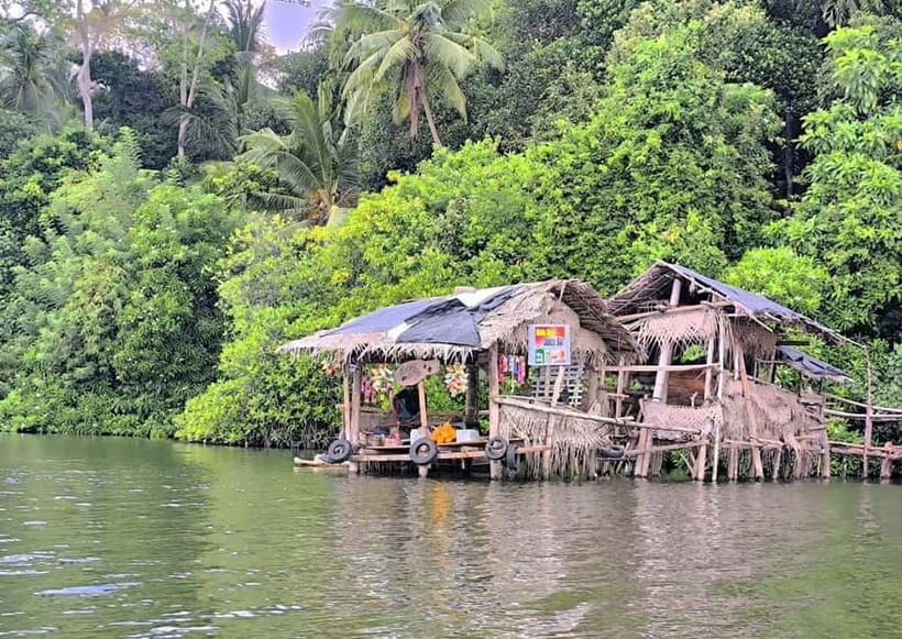 From Galle: Madu River Safari & Turtle Hatchery Visit - A Closer Look at the Madu River Safari & Turtle Hatchery Tour  