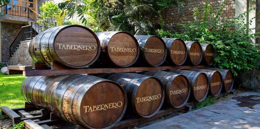 From Ica: Winery Tour - Along the Pisco Route - From Ica: Winery Tour - Along the Pisco Route