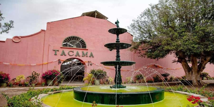 From Ica: Winery Tour - Along the Pisco Route - Exploring Icas Pisco Route: A Deep Dive