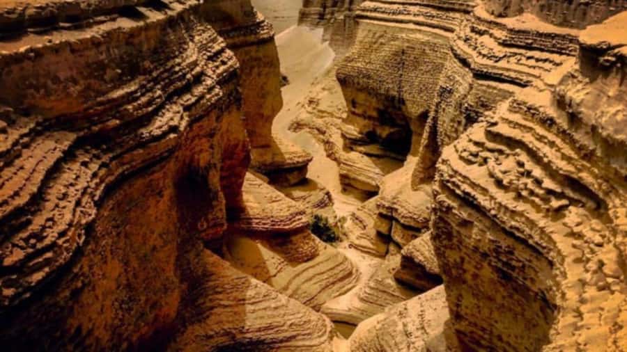 From Lima: Ica + Lost Canyon 2D/1N - Day Two: Lost Canyon and Ancient Fossils