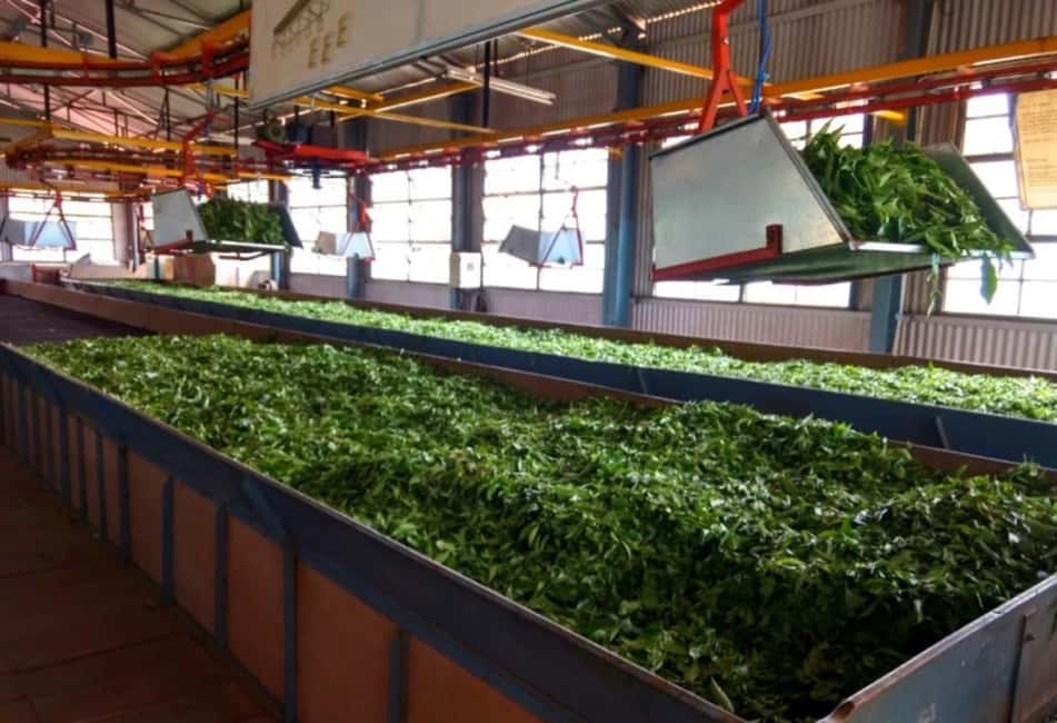 OVERNIGHT MUNNAR FROM KOCHI - FAQ