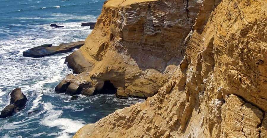 From Ica: Ballestas Islands + Paracas National Reserve - Discovering the Experience: A Detailed Look