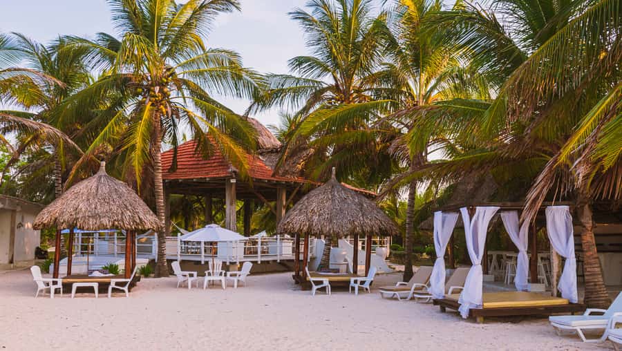 Tierra Bomba Island: A day at Marine Beach Club - Why It’s Worth considering