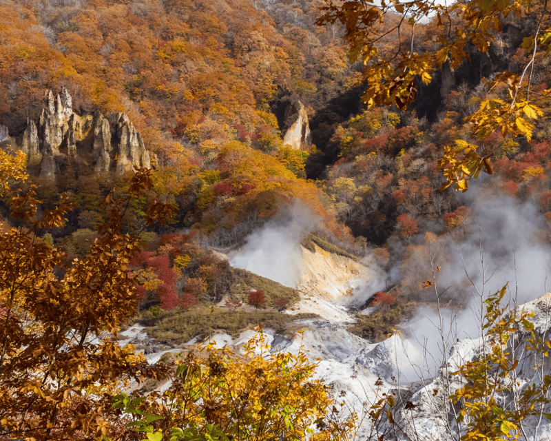 Nagano: Snow Monkeys, Sake Tasting & Zenkoji Private Tour - Key Points