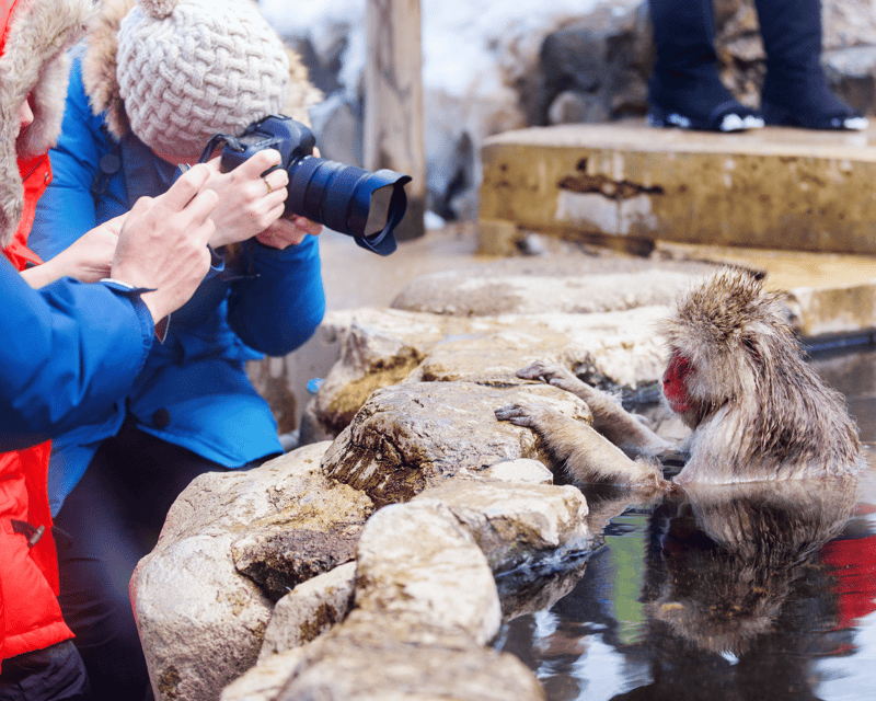 Nagano: Snow Monkeys, Sake Tasting & Zenkoji Private Tour - Discovering Nagano: What to Expect from the Tour