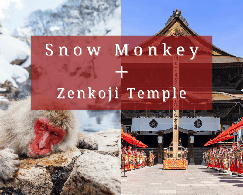 Nagano: Snow Monkeys, Sake Tasting & Zenkoji Private Tour - The Itinerary in Detail