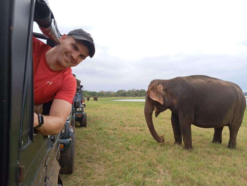 Minneriya National Park: Private Safari with Hotel Pick-up - Key Points