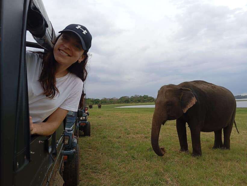 Minneriya National Park: Private Safari with Hotel Pick-up - Analyzing the Value: Price, Experience, and Tips