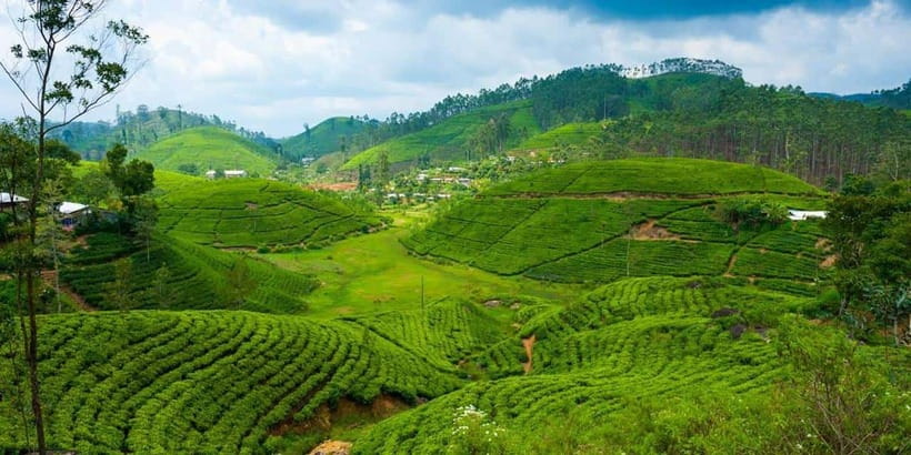 Nuwara Eliya Tour with Ramboda Waterfall, Ambuluwawa Tower - Final Thoughts