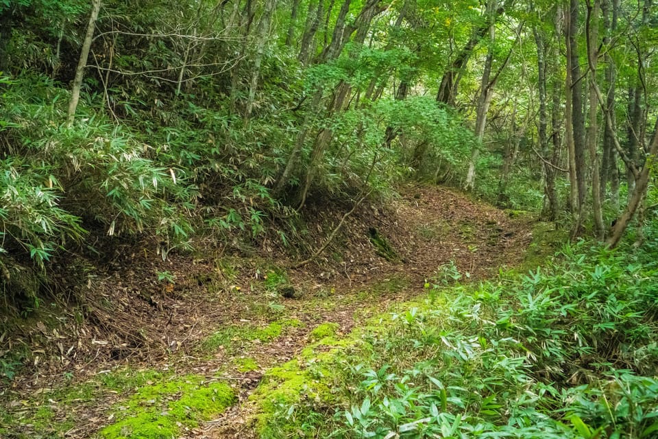 Lake Tachibana: Hike to a hidden lake! - An In-Depth Look at the Lake Tachibana Hike