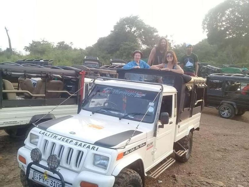 Colombo: Sigiriya, Dambulla Caves, & Wildlife Day Tour - Who Should Book This Tour?