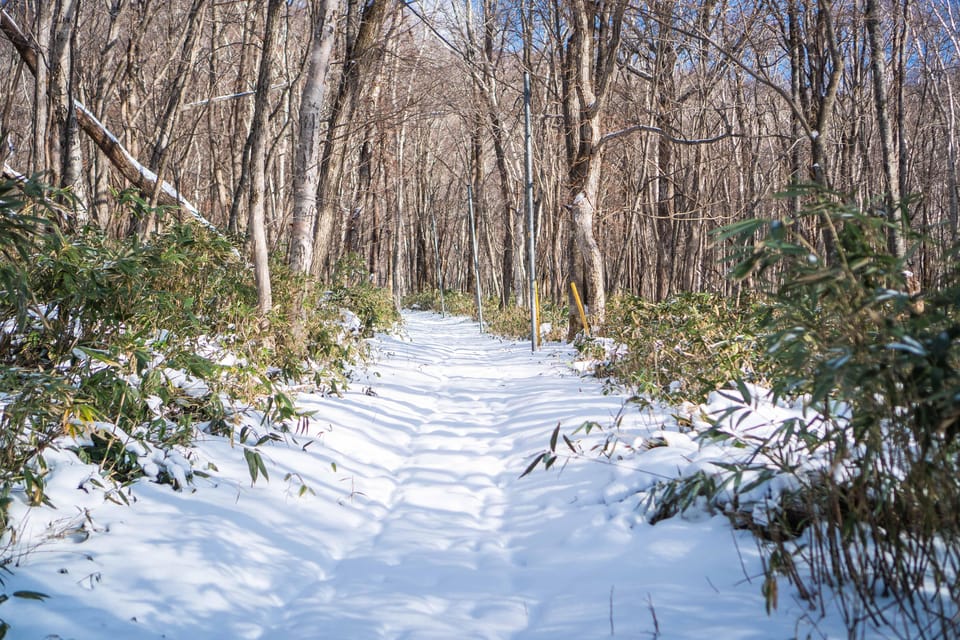 Lake Tachibana: Snowshoe to a frozen lake! - Final Thoughts: Is It Worth It?