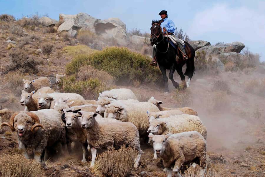 25 DE MAYO FARM - Final Thoughts