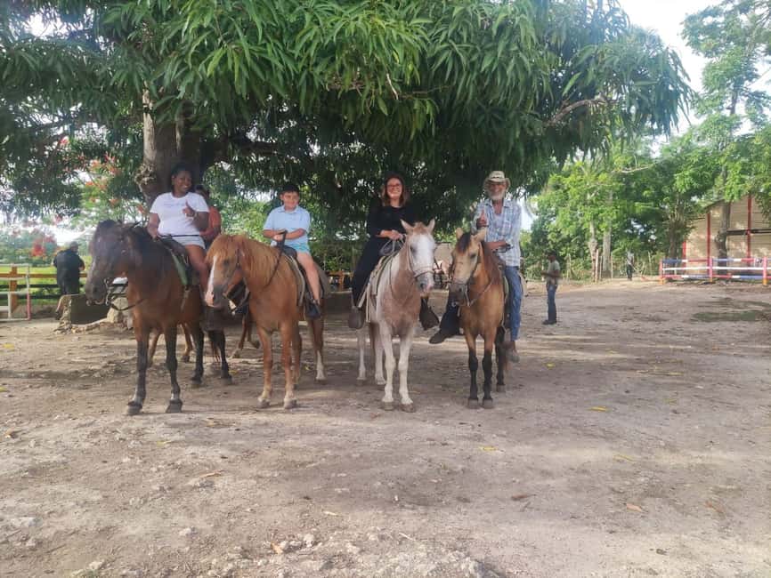 Higüey Cultural Tour: From the Basilica to the Beaches of Macao - A Deep Dive into the Higüey Cultural Tour