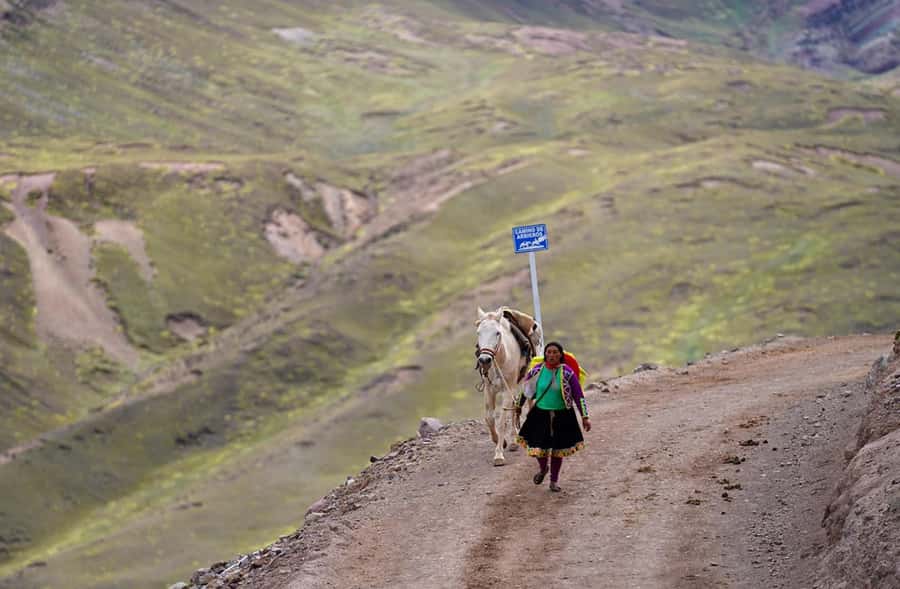 Cusco: All-Inclusive Rainbow Mountain Day Tour - Analyzing the Value