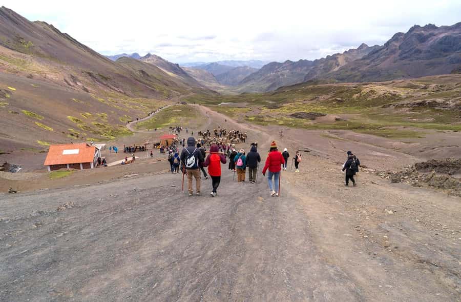 Cusco: All-Inclusive Rainbow Mountain Day Tour - Who Should Consider This Tour?