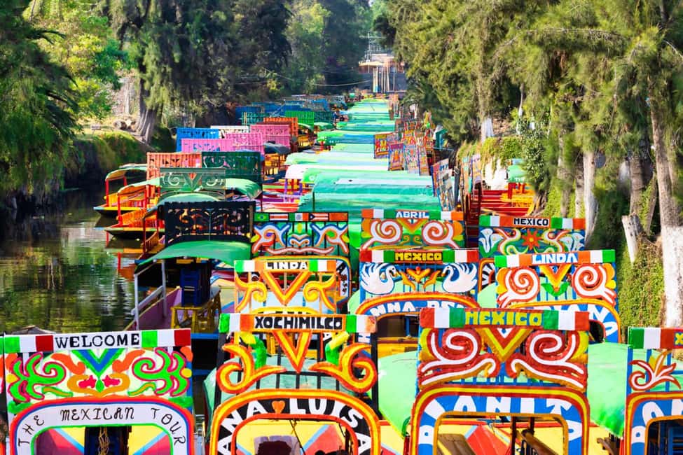The Day of the Dead Private Tour in Mexico City - Value and Practical Details