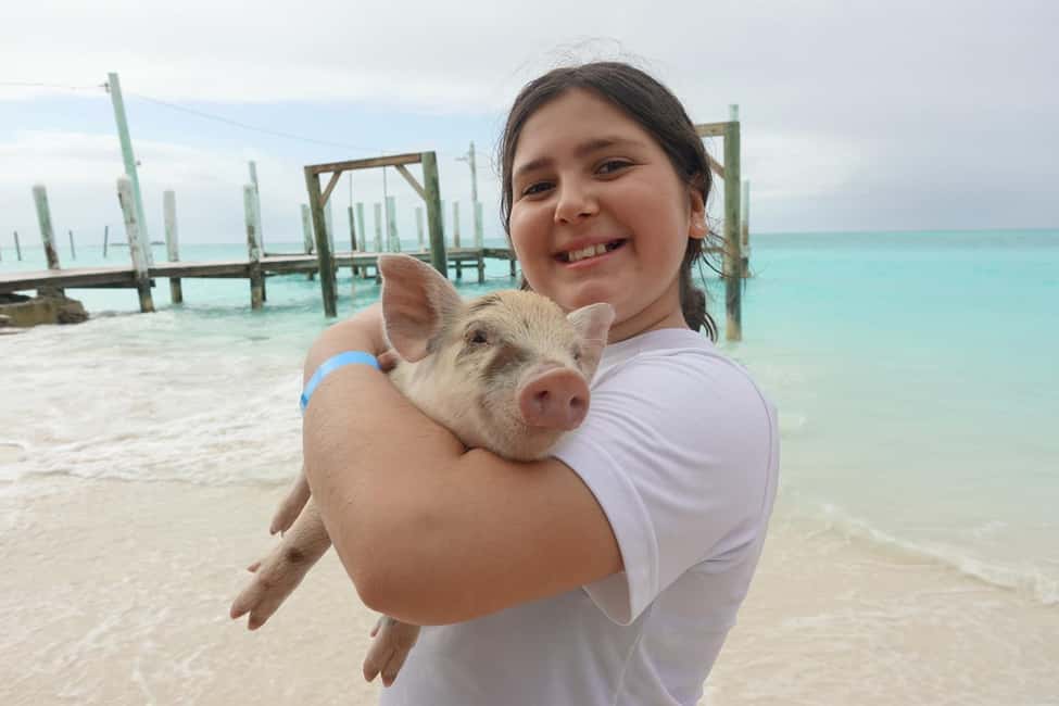 Nassau ATV & Swimming Pigs Tour - Key Points