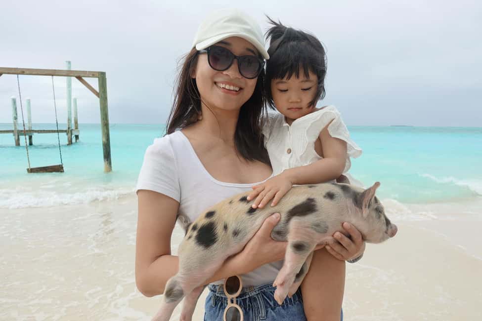 Nassau ATV & Swimming Pigs Tour - The Practical Details