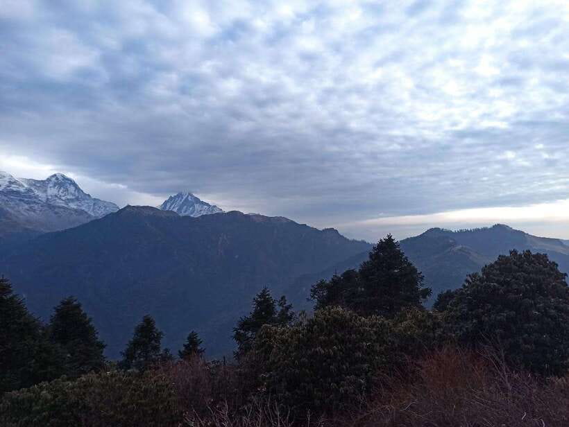 Pokhara: 2-Day Poon Hill Trek with Sunrise - Authentic Experiences From Reviewers