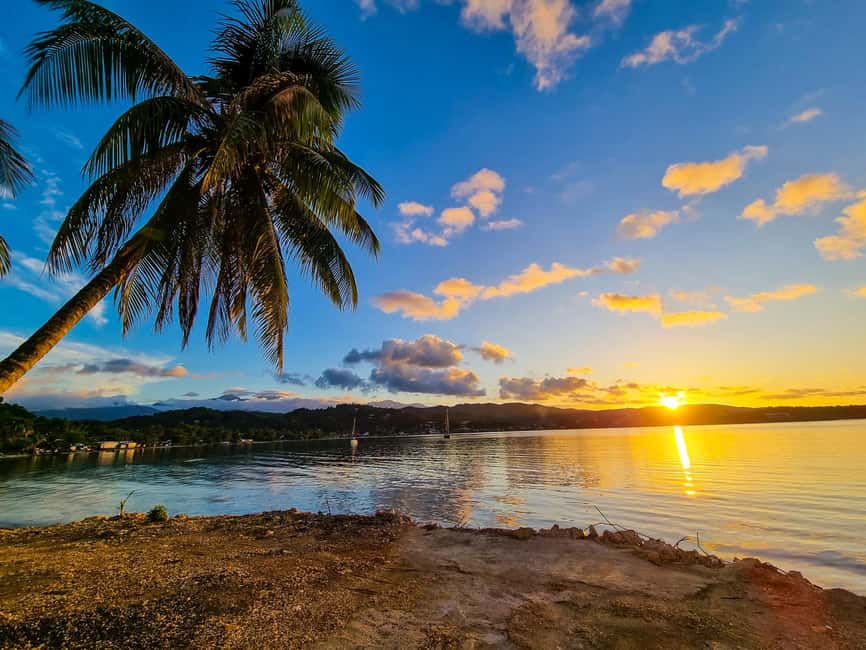 Portland Day Trip - Portland Day Trip: An Authentic Slice of Jamaica’s Natural and Cultural Charm