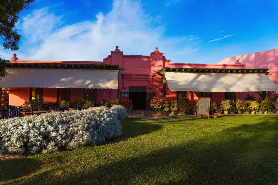 From Ica: Excursion to Wineries - Along the Pisco Route - Why This Tour Is Worth It